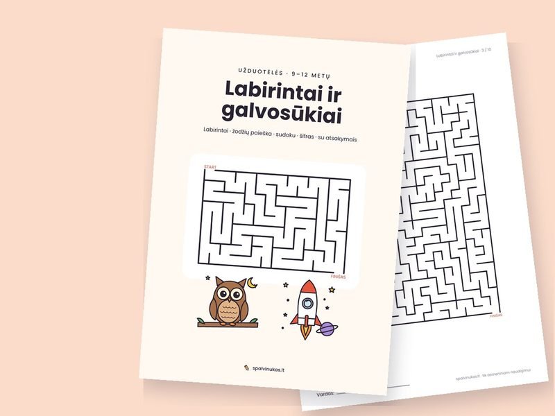Labirintai ir galvosūkiai – peržiūra